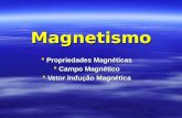Magnetismo  Propriedades Magnéticas  Campo Magnético  Vetor Indução Magnética.