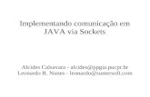 Implementando comunicação em JAVA via Sockets Alcides Calsavara - alcides@ppgia.pucpr.br Leonardo R. Nunes - leonardo@sumersoft.com.