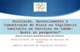Diana Carmem Almeida Nunes de Oliveira Gerência-Geral de Tecnologia em Serviços de Saúde Agência Nacional de Vigilância Sanitária Avaliação, Gerenciamento.