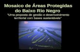 Mosaico de Áreas Protegidas do Baixo Rio Negro “Uma proposta de gestão e desenvolvimento territorial com bases sustentáveis”