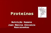 Proteínas Nutrição Humana Jean Márcia Oliveira Mascarenhas.
