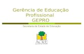 Gerência de Educação Profissional GEPRO Secretaria de Estado de Educação.