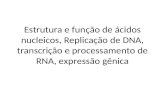Estrutura e função de ácidos nucleicos, Replicação de DNA, transcrição e processamento de RNA, expressão gênica.