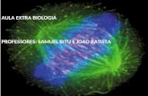 AULA EXTRA BIOLOGIA PROFESSORES: SAMUEL BITU E JOAO BATISTA.