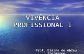 VIVÊNCIA PROFISSIONAL I Prof. Elaine de Abreu Stelmannn.