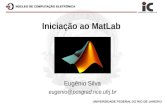 Iniciação ao MatLab Eugênio Silva eugenio@posgrad.nce.ufrj.br.