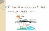 Ciclos Biogeoquímicos Globais Professor : Hélcio Junior.