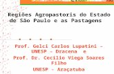 Regiões Agropastoris do Estado de São Paulo e as Pastagens Prof. Gelci Carlos Lupatini – UNESP – Dracena e Prof. Dr. Cecílio Viega Soares Filho UNESP -