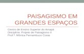 PAISAGISMO EM GRANDES ESPAÇOS Centro de Ensino Superior do Amapá Disciplina: Projeto de Paisagismo II Prof.ª: Mônica Pernambuco Costa.