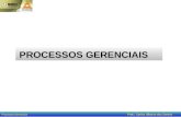 PROCESSOS GERENCIAIS Processos Gerenciais Prof.: Carlos Alberto dos Santos.
