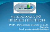 Profª.: Doutoranda Márcia C. da S. Galindo Email: marcia_crispt@hotmail.com.