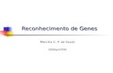 Reconhecimento de Genes Marcílio C. P. de Souto DIMAp/UFRN.