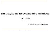 Cristiane Martins AC290-Escoamento Reativo – 08/2007 Cristiane Martins Simulação de Escoamentos Reativos AC 290.