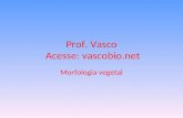 Prof. Vasco Acesse: vascobio.net Morfologia vegetal.