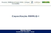 Plenária RBMLQ-I 2º Ciclo 2012 – Campo Grande/MS Marcio Paiva Coordenador Substituto - Cored Capacitação RBMLQ-I.