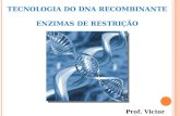 TECNOLOGIA DO DNA RECOMBINANTE ENZIMAS DE RESTRIÇÃO Prof. Victor Pessoa.