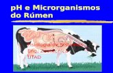 PH e Microrganismos do Rúmen Fisiologia de Sistemas Eng. Zootécnica UTAD.