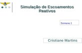 Cristiane Martins Simulação de Escoamentos Reativos Semana 1.