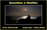 Questões a Meditar Livro: Sinal Verde André Luiz – Chico Xavier.