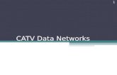 CATV Data Networks 1. Índice Introdução ▫Redes CATV ▫Redes de Dados CATV Arquitetura Funcionamento Segurança Fontes de Ruído Standards Tecnologias Concorrentes.