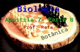 Botânica Biologia Prof. Rafa Apostila 7– Parte B.