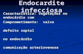 Endocardite infecciosa Característica: vegetações no endocárdio com Comprometimento: valva defeito septal defeito septal no endocárdio no endocárdio comunicação.