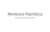 Membrana Plasmática Estrutura, envoltórios e especializações.