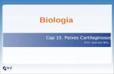 Biologia Cap 15. Peixes Cartilaginosos Prof.:Samuel Bitu.