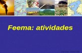 Axel Grael – Feema. 2007 Feema: atividades. Axel Grael – Feema. 2007 INEA Governo do Estado do Rio de Janeiro SEA FEEMASERLAIEF.