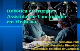 Robótica e Cirurgia Assistida por Computador em Medicina Renato M.E. Sabbatini, PhD Núcleo de Informática Biomédica Universidade Estadual de Campinas.