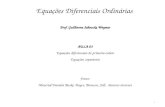 Equações Diferenciais Ordinárias Prof. Guilherme Jahnecke Weymar AULA 03 Equações diferenciais de primeira ordem Equações separáveis Fonte: Material Daniela.