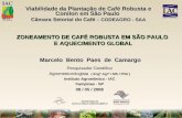 Pesquisador Científico Agrometeorologista ( Engº Agrº / MS / PhD ) Instituto Agronômico - IAC Campinas - SP 08 / 05 / 2008 Viabilidade da Plantação de.