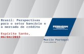 Brasil: Perspectivas para o setor bancário e o mercado de crédito Espírito Santo, 06/04/2015 1 Murilo Portugal Presidente.