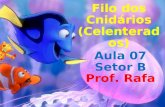 Filo dos Cnidários (Celenterados) Filo dos Cnidários (Celenterados) Aula 07 Prof. Rafa Setor B.