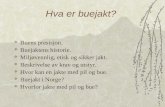 Presentation bowhunting - Norwegian