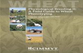 Physiological breeding II: a field guide to wheat phenotyping
