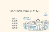 BCN 3108 Tutorial M12
