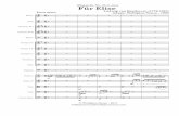 Für Elise - Score + Parts