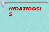 & DEFENSA Hidatidosis-Cisticercosis