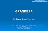 GRANDEZA Milton Rosales A. Milton Rosales A. 1 Milton Rosales & Asociados Gestoría en Desarrollo Humano Integral Tel-: (506) 2223-7882 / 2223-7255/8642.