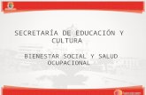 SECRETARÍA DE EDUCACIÓN Y CULTURA BIENESTAR SOCIAL Y SALUD OCUPACIONAL.