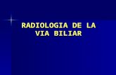 Radiología de la Vesícula Biliar