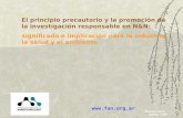 1 El principio precautorio y la promoción de la investigación responsable en N&N: significado e implicación para la industria, la salud y el ambiente Buenos.