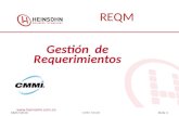 Gestión de Requerimientos  REQM 08/07/2010 Slide 1 CMMI REQM.