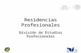 Residencias Profesionales División de Estudios Profesionales.