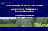 DESARROLLO DE TIGHT GAS SANDS YACIMIENTO CENTENARIO Cuenca Neuquina. Telmo GERLERO (Pluspetrol). 3er Congreso de Producción - Mendoza - Argentina 19,20,21.
