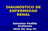 Diagnóstico de enfermedad renal