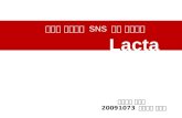온라인Pr  sns 활용 성공사례 ,lacta