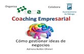 Coaching Empresarial:Cómo gestionar ideas de negocios