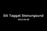 Presentation träff 3 - Ett Taggat Stenungsund